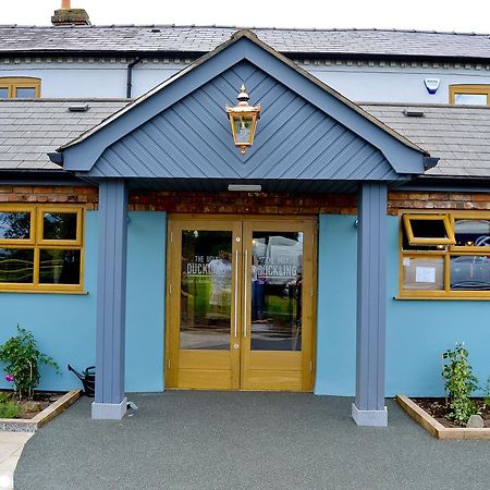 テルフォード The Ugly Duckling Bed & Breakfast エクステリア 写真